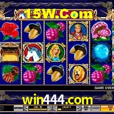 Tecnologia da Plataforma win444.com